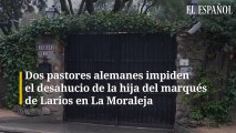Dos pastores alemanes impiden el desahucio de la hija del marqués de Larios en La Moraleja