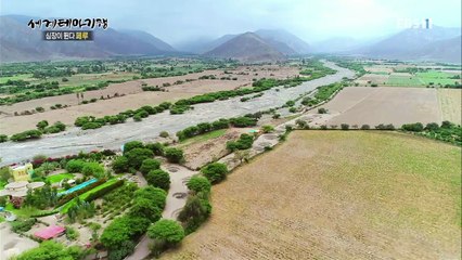 세계테마기행 - 심장이 뛴다, 페루 2부- 사막에서 밀림까지_#002