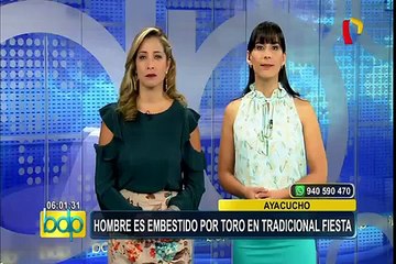 Ayacucho: toro embiste y deja grave a hombre en fiesta costumbrista