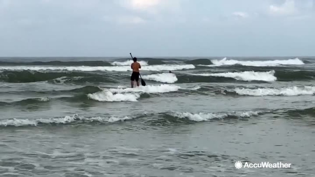 Florida beach statistical world leader in shark attacks