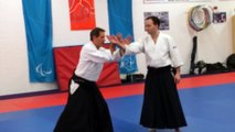 Aikido Axis of Action. Christian Tissier Shihan