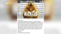 Fed Up Cops Have Put Never-Ending Winter ‘Under Arrest’