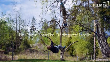 KINDHEIT Trailer German Deutsch (2018)