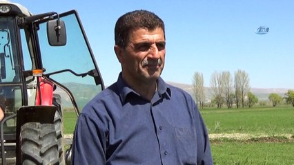 Muş'ta nohut ekimine başlandı