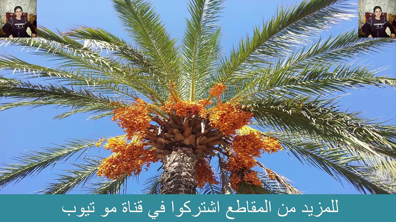 فوائد التمرر