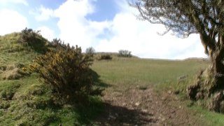 Warbstow Bury Hillfort