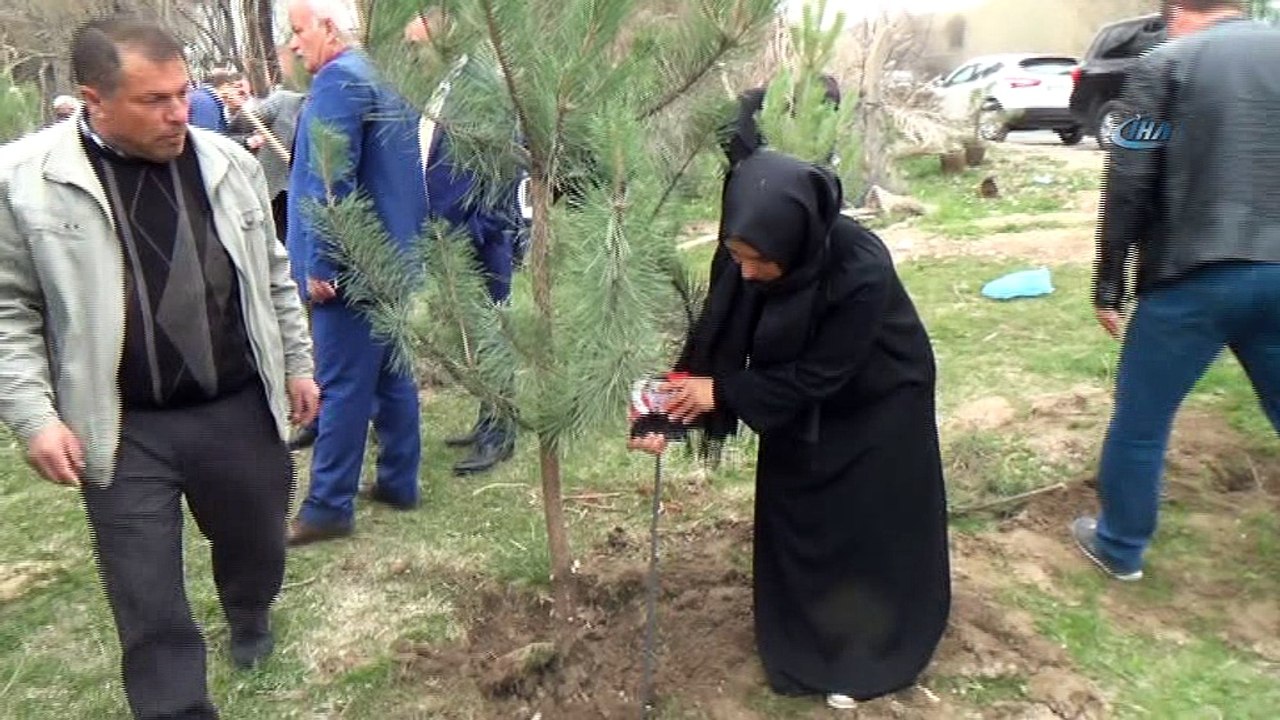 Ahlat'ta şehitler için fidan dikildi