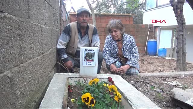 Balıkesir Ölen Köpeklerine Mezar Yaptılar