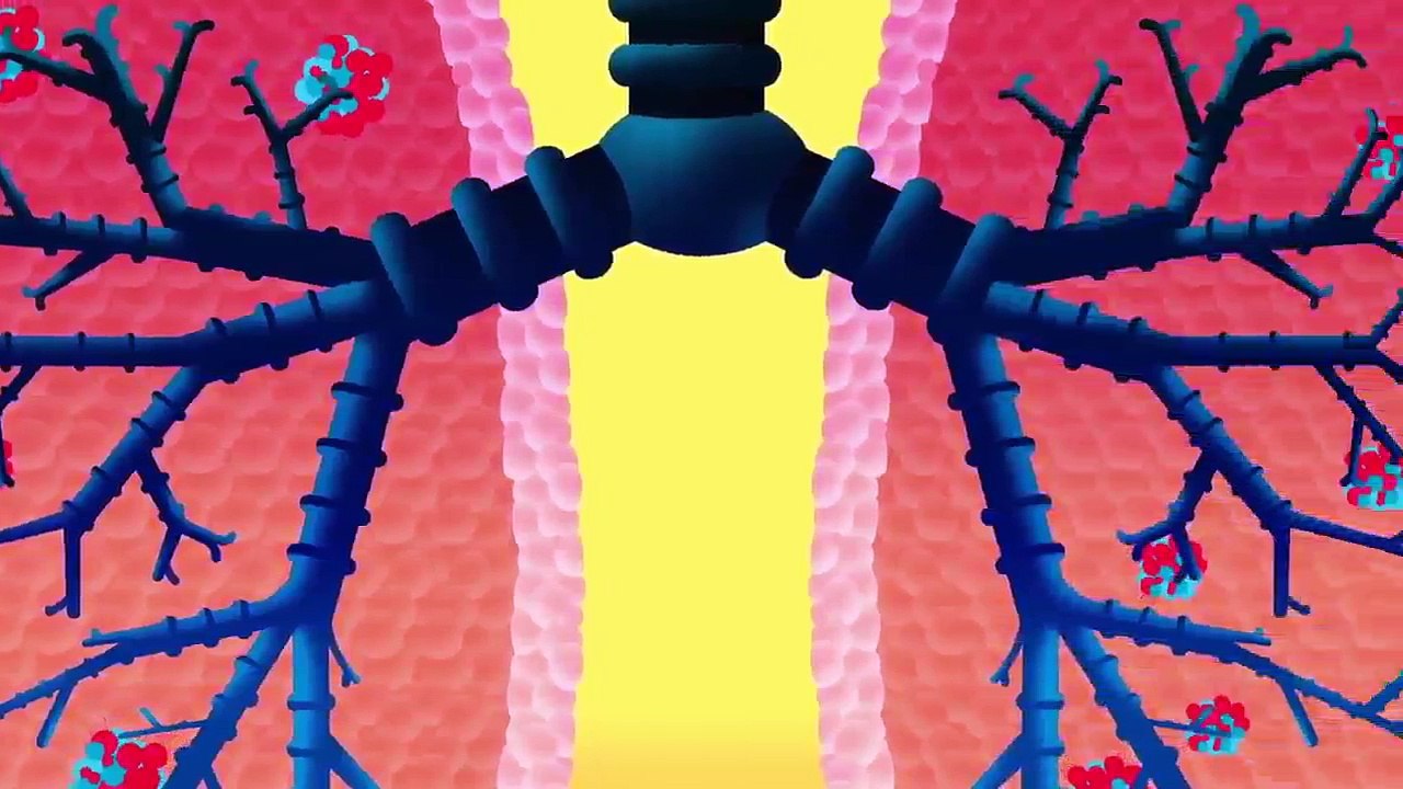 Body Songs: "When You Breathe (Lungs)" by StoryBots