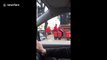 Special delivery service! London postmen filmed pushing colleagues on trolley