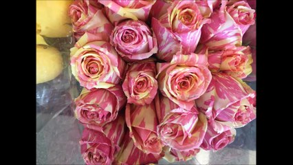 Surah Baqarah Translation &Tafseer part 24(3 Talaq ka hal)