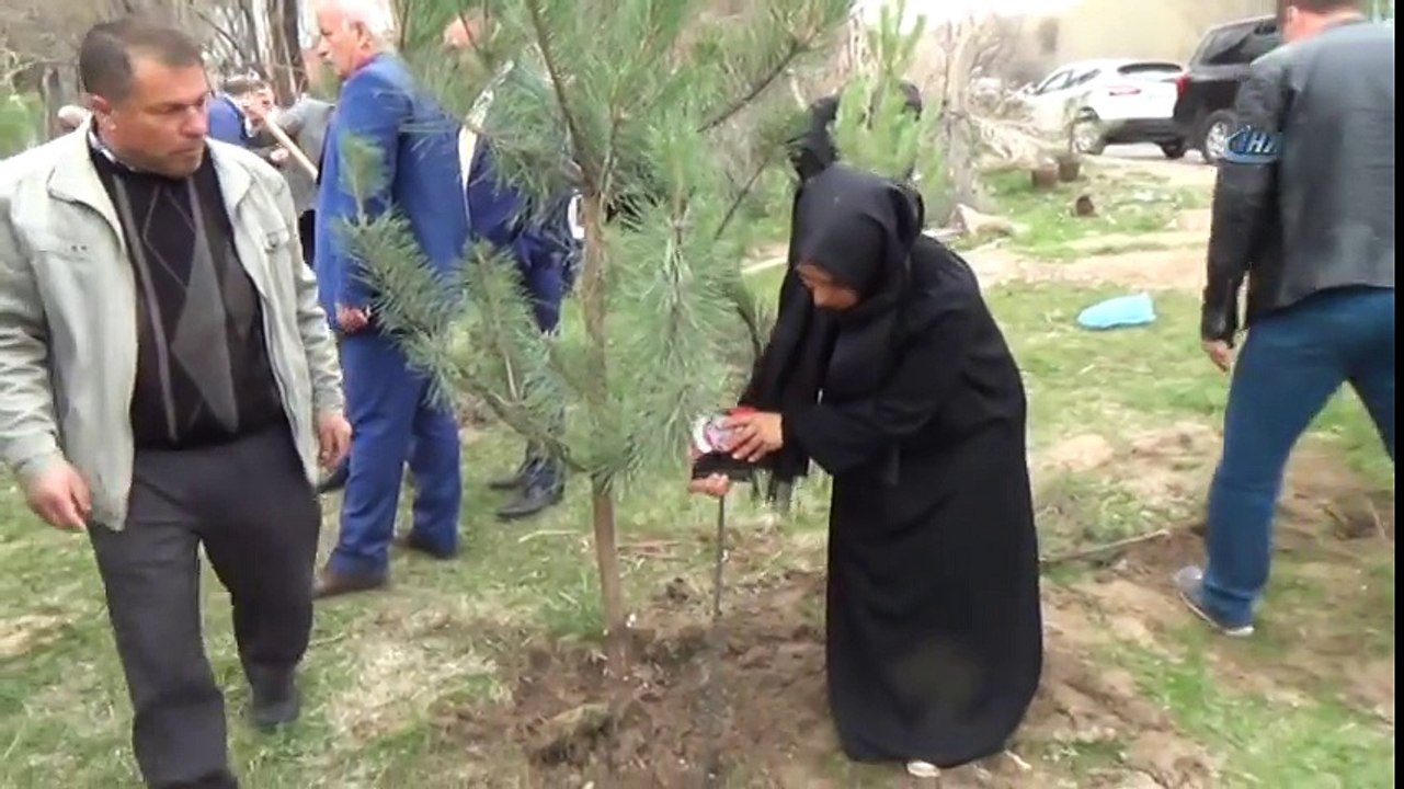 Ahlat'ta Şehitler İçin Fidan Dikildi