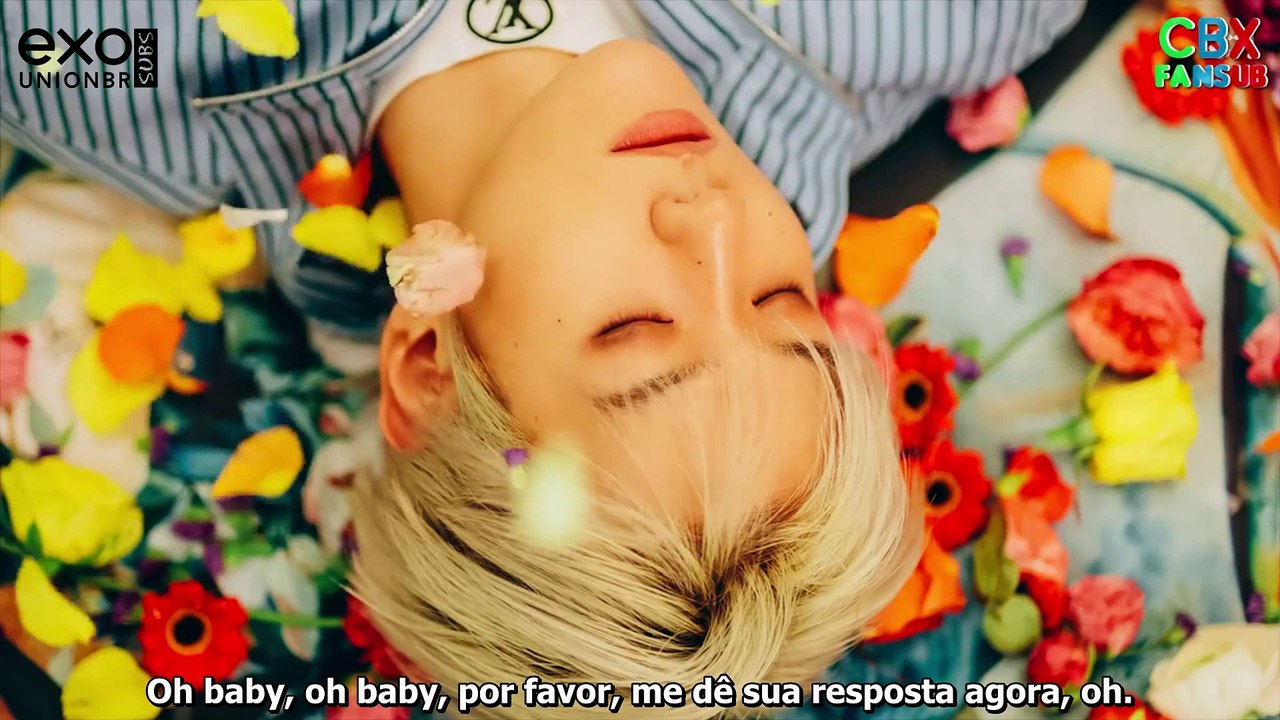 [PT-BR] EXO-CBX - BLOOMING DAY (MV Legendado)