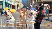 Des chiens-guides à Disneyland