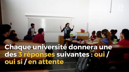Pourquoi les étudiants manifestent contre la loi Vidal ?