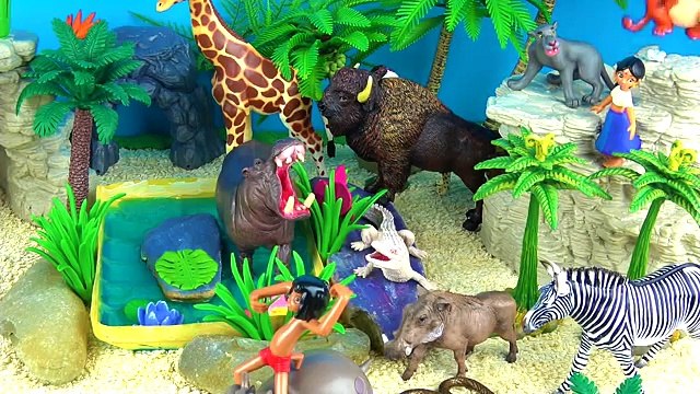 Hayvanat bahçesi hayvanları Vahşi hayvanlar Adları ve Sesleri ve Eğlencelerini Öğrenin