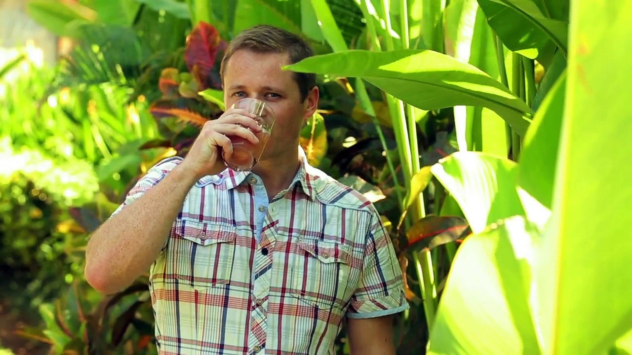 40.How to Make Aloe Vera Gel At Home. Naturally