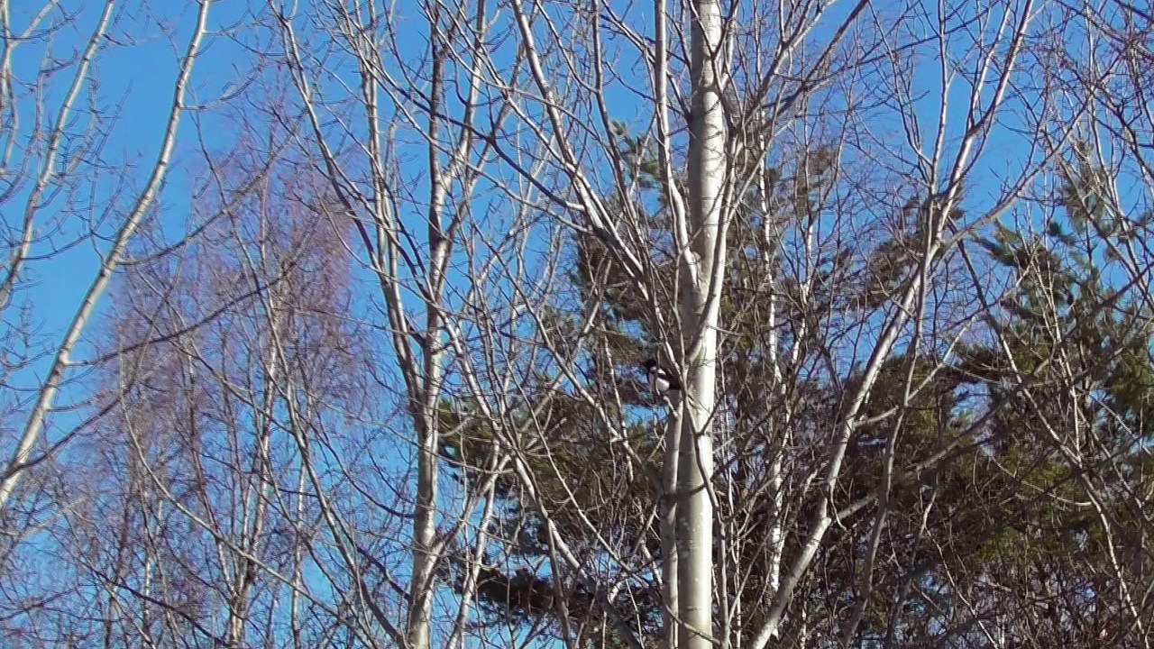 Apr 10 2018 DL7