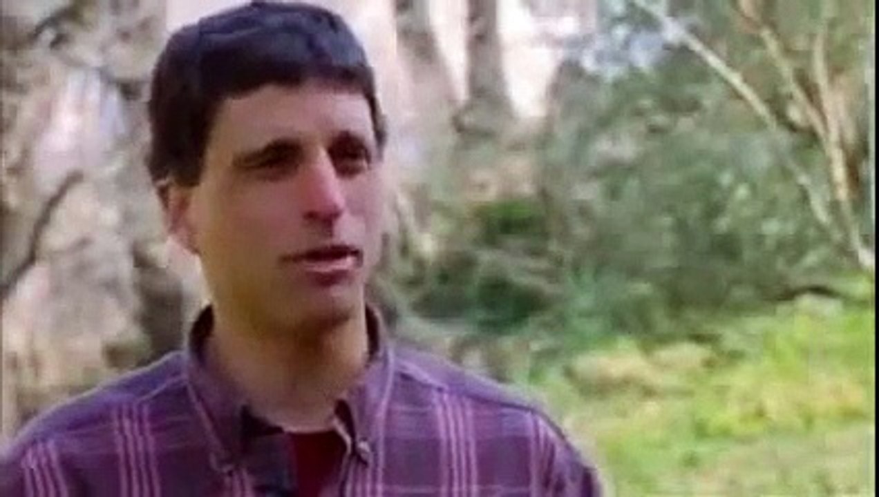 Zero Hours_ The plate tectonics beneath Italy alpine`s mountain range