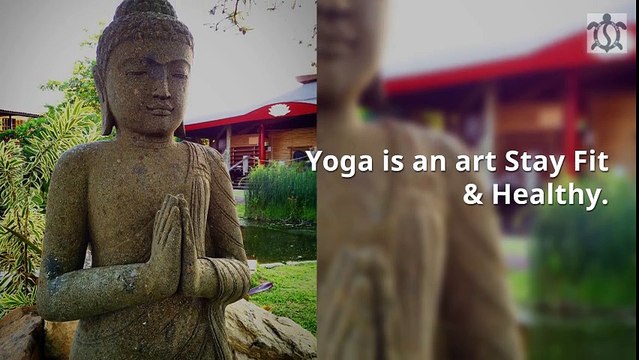 Yoga And Meditation Retreats