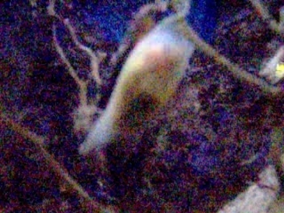Photo 032