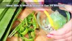 28.How To Make Aloe Vera Gel At Home- Homemade Fresh Aloe Vera Gel
