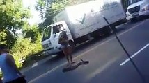 Une femme courageuse sort de sa voiture pour attraper un énorme serpent qui bloque la route