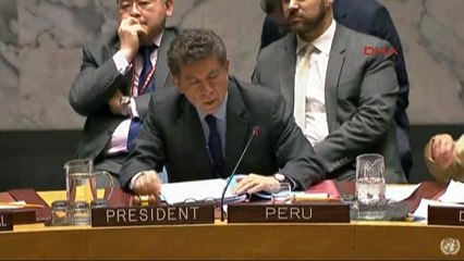 ABD'nin 'Suriye Tasarısını' Rusya Veto Etti