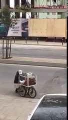 Simit Satarken Kendinden Geçen Dayı