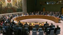 Rusia veta en la ONU proyecto de resolución de EEUU sobre Siria