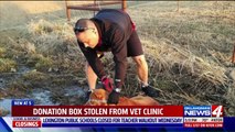 Video Shows Young Man Stealing Donation Box from Animal Hospital