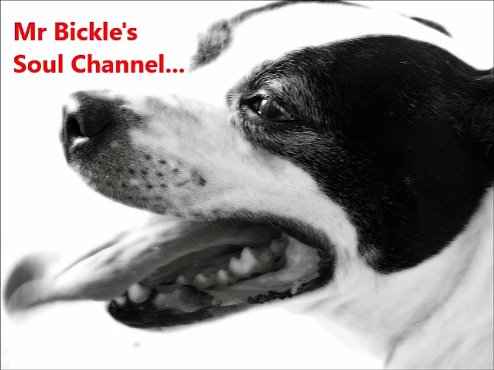 L J Reynolds - Key To The World (Live)