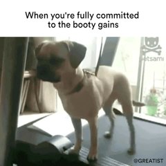When you're fully committed to the booty gains