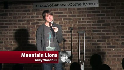 Mountain Lions - Andy Woodhull