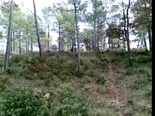 Salomé nous fait la grande descente