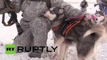 Las tropas árticas rusas se entrenan con huskies y renos
