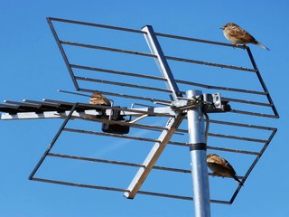 Why a TV antenna should not be given for repairing to an electrician