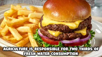 10 Facts About Veganism