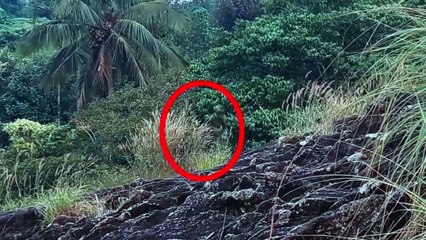 Most Chilling Real Life Demon Caught On Camera From A Deserted Cottage! Paranormal Activity On Tape!