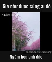 Muốn được cùng ai đó..... đi ngắm hoa anh đào...