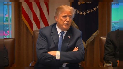 Trump seeks to build alliance to strike Syria