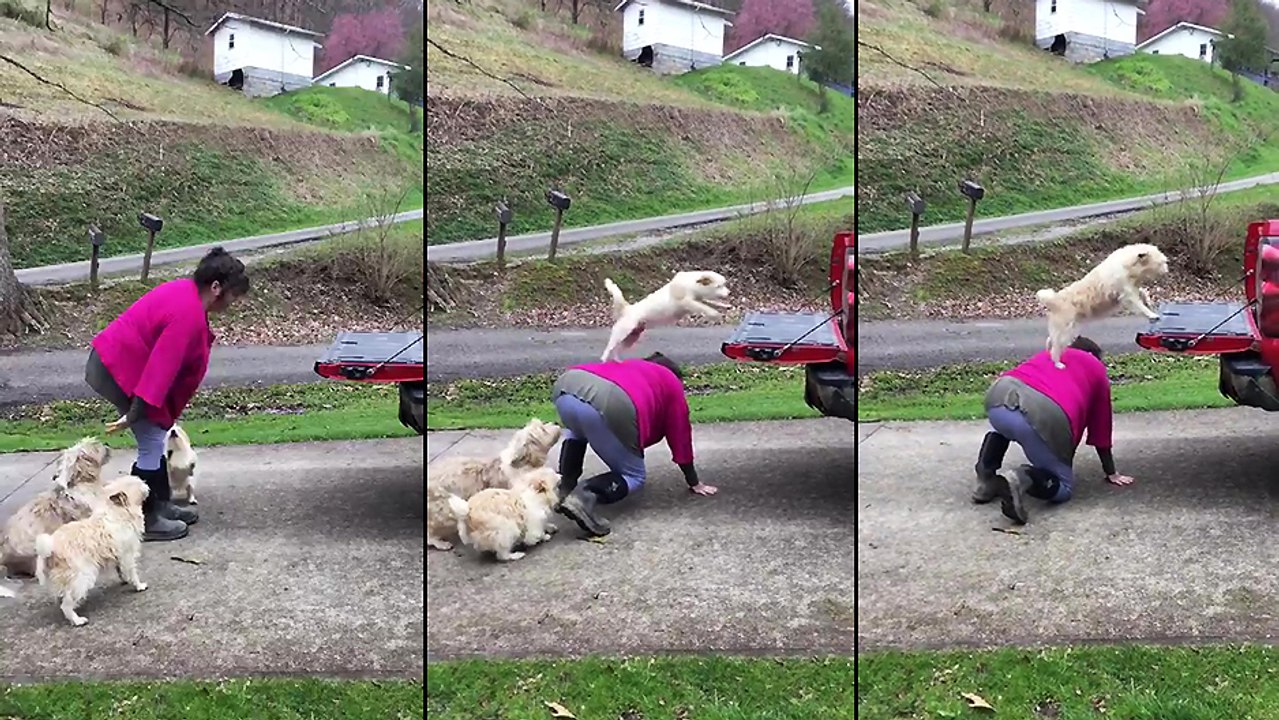 Elle aide ses chiens à grimper dans son pickup