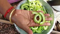 Cooking Crispy Snake Gourd Chilli in My Village Farm - Food Money Food