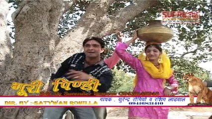 Billo Chali Pani Ne || Superhit Haryanvi Song || Surender Romio || Pannu Films