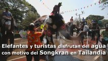 Elefantes y turistas disfrutan del agua días previos al Songkran en Tailandia