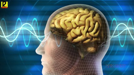 Viagra Side Effects वियाग्रा के साइड इफेक्ट्स in Hindi   Daily Health Care