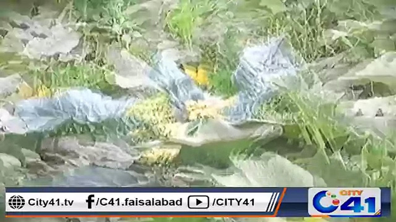 چنیوٹ میں شہریوں کی صحت کی ضامن حکومت پنجاب بس دعوؤں تک محدود۔ ۔ ۔