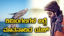 ಯಶ್ ಡೈಲಾಗ್ ಗೆ ಶಿಳ್ಳೆ ಚಪ್ಪಾಳೆ | Filmibeat Kannada