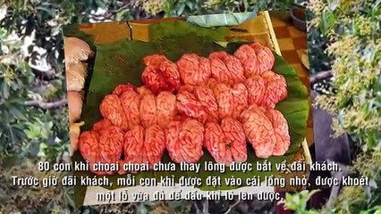 7 Món Ăn Kinh Dị Nhất Lịch Sử TRUNG QUỐC Do TỪ HY THÁI HẬU Nghĩ Ra