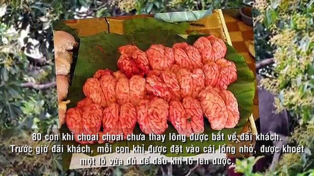 7 Món Ăn Kinh Dị Nhất Lịch Sử TRUNG QUỐC Do TỪ HY THÁI HẬU Nghĩ Ra